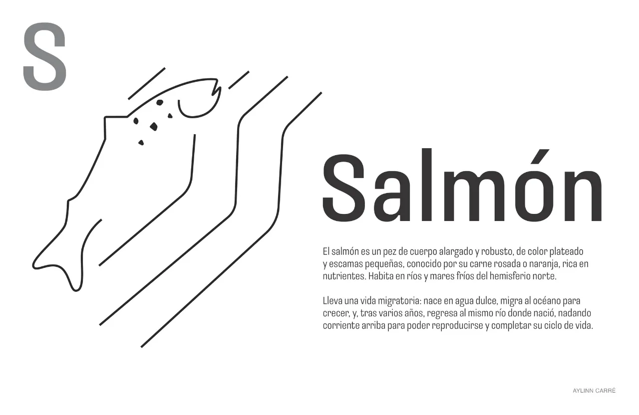 Composición de Salmón para el libro ABC