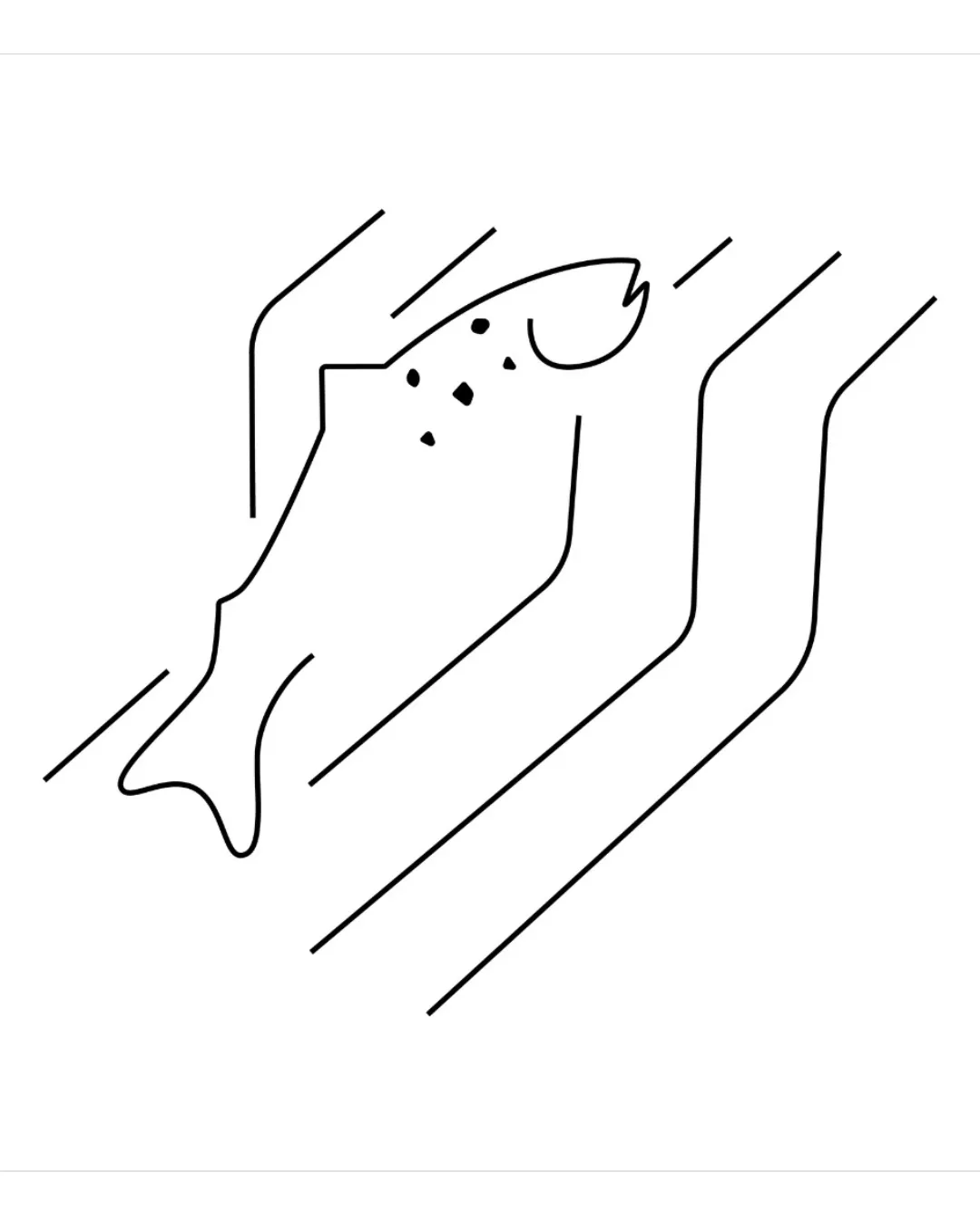 Salmón — ilustración